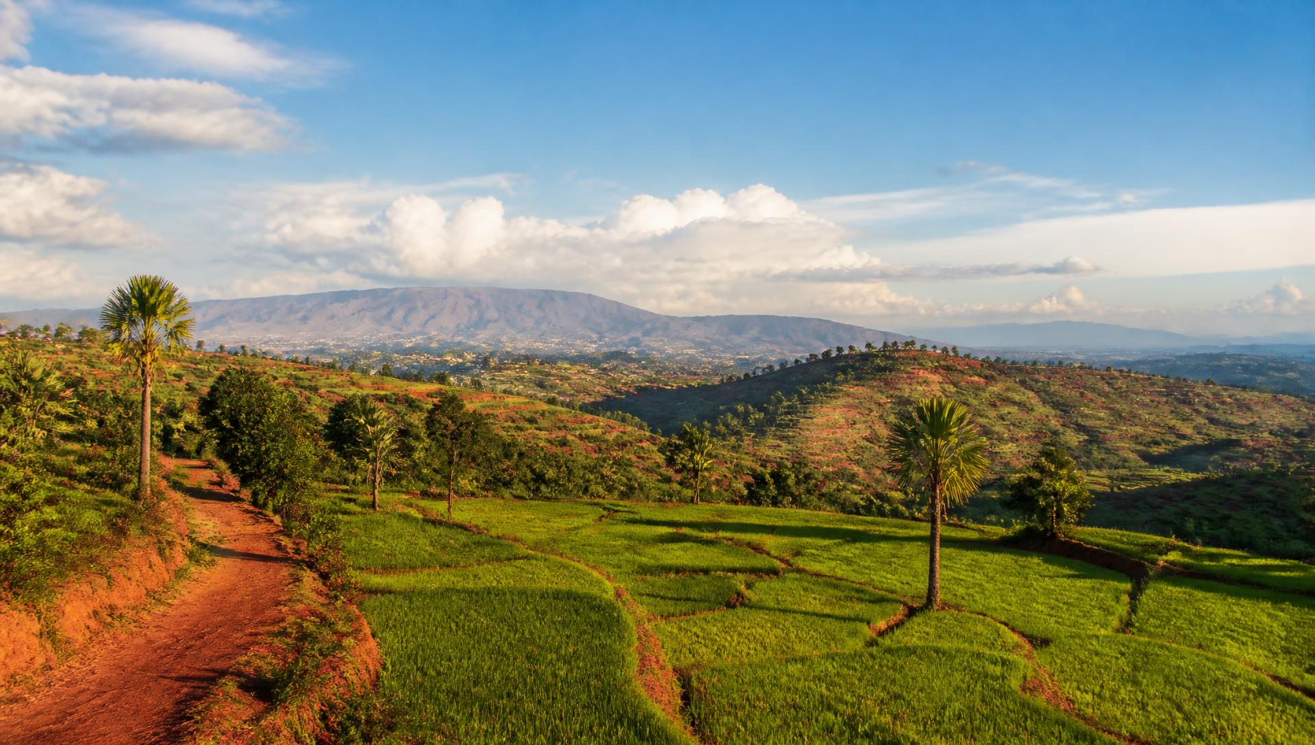 Terraced green rice fields and red laterite paths in the Madagascar highlands