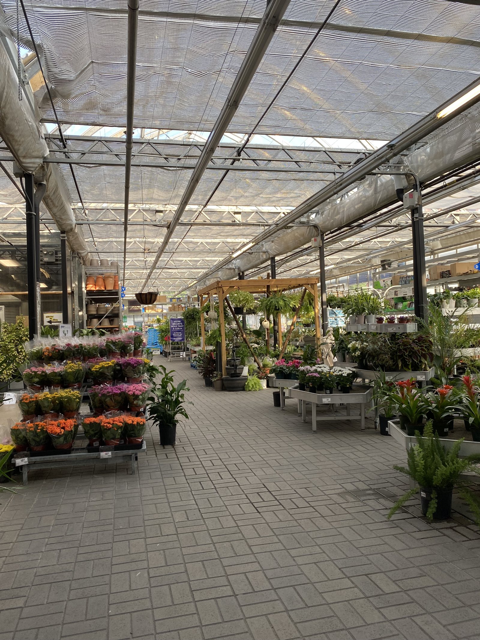 The garden centre at the height of the season