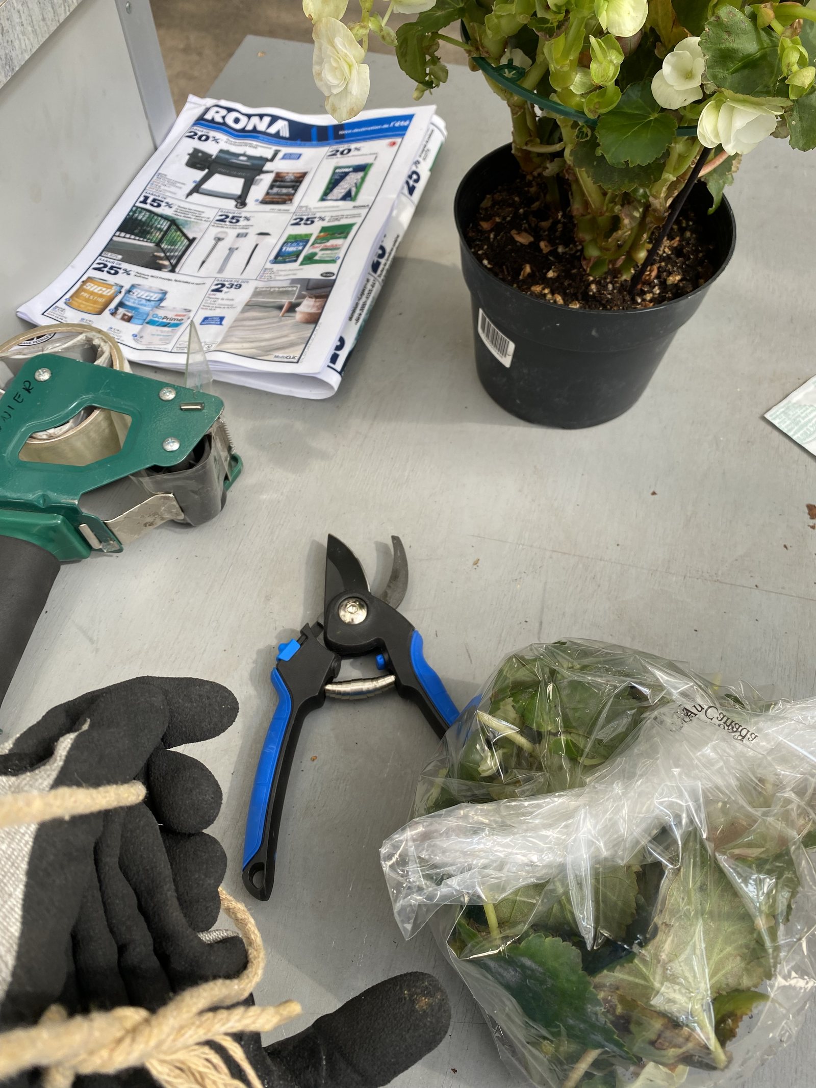 Pruning and planting tools prepared for a customer demonstration
